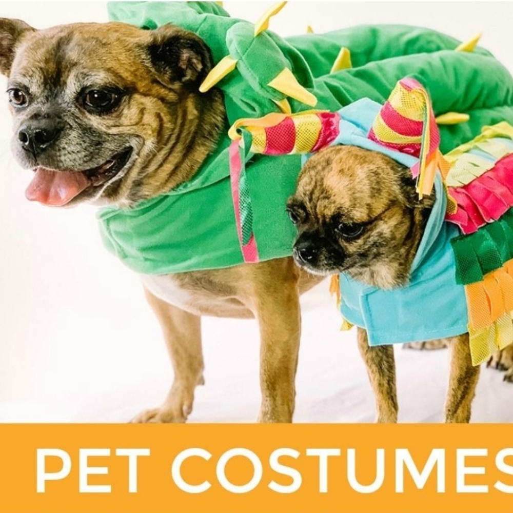 Cactus Pet Costume - Picture 4 of 6